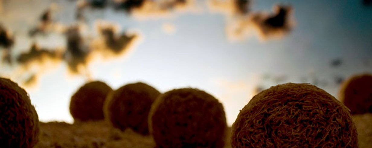 thumb-image-2024-02-29T13:57:12.176Z