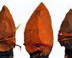 thumb-image-2024-02-29T13:57:12.759Z