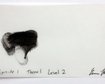 thumb-image-2024-02-29T13:57:13.138Z