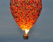 thumb-image-2024-02-29T13:57:13.360Z