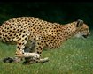 thumb-image-2024-02-29T13:57:13.658Z
