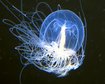 thumb-image-2024-02-29T13:57:13.831Z
