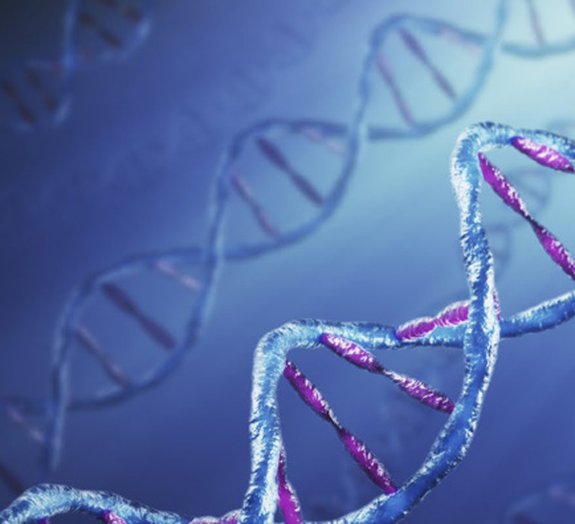 Cientistas fotografam a dupla hélice de uma molécula de DNA