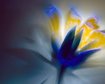 thumb-image-2024-02-29T13:57:13.918Z