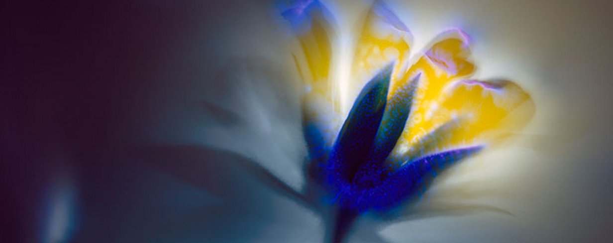 thumb-image-2024-02-29T13:57:13.918Z