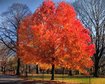 thumb-image-2024-02-29T13:57:13.946Z