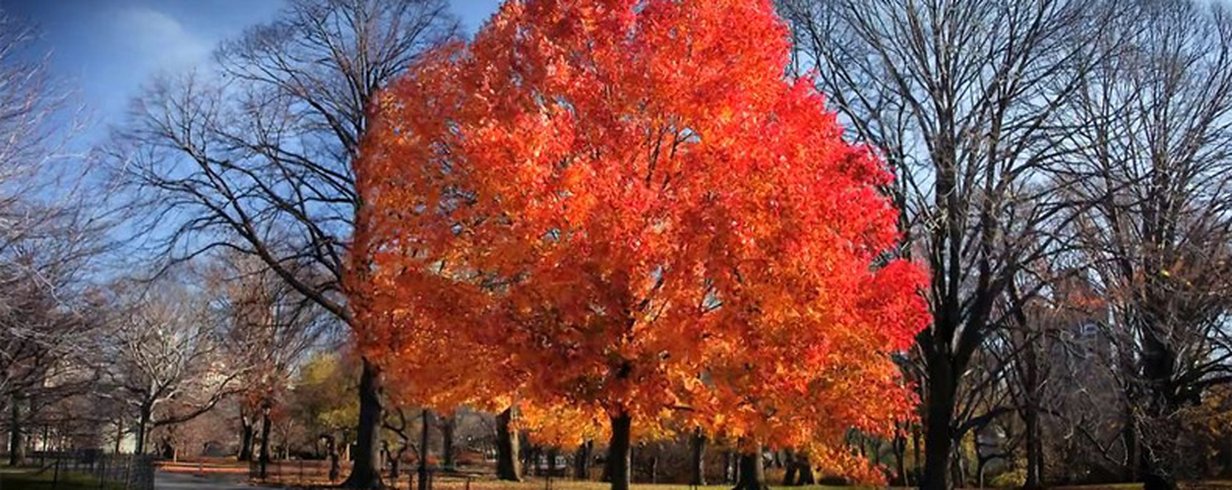 thumb-image-2024-02-29T13:57:13.946Z