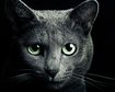 thumb-image-2024-02-29T13:57:14.304Z