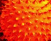 thumb-image-2024-02-29T13:57:15.262Z