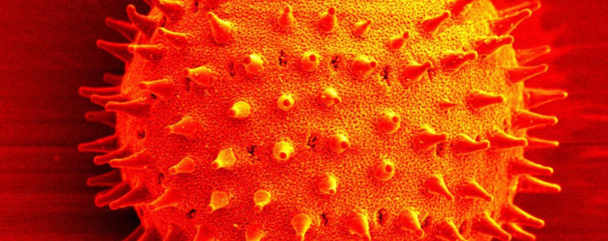 thumb-image-2024-02-29T13:57:15.262Z