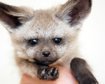 thumb-image-2024-02-29T13:57:15.313Z