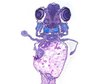 thumb-image-2024-02-29T13:57:15.369Z