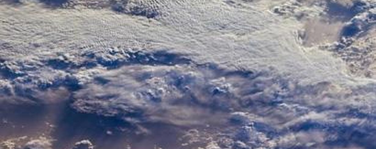 thumb-image-2024-02-29T13:56:50.002Z