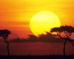 thumb-image-2024-02-29T13:56:50.199Z
