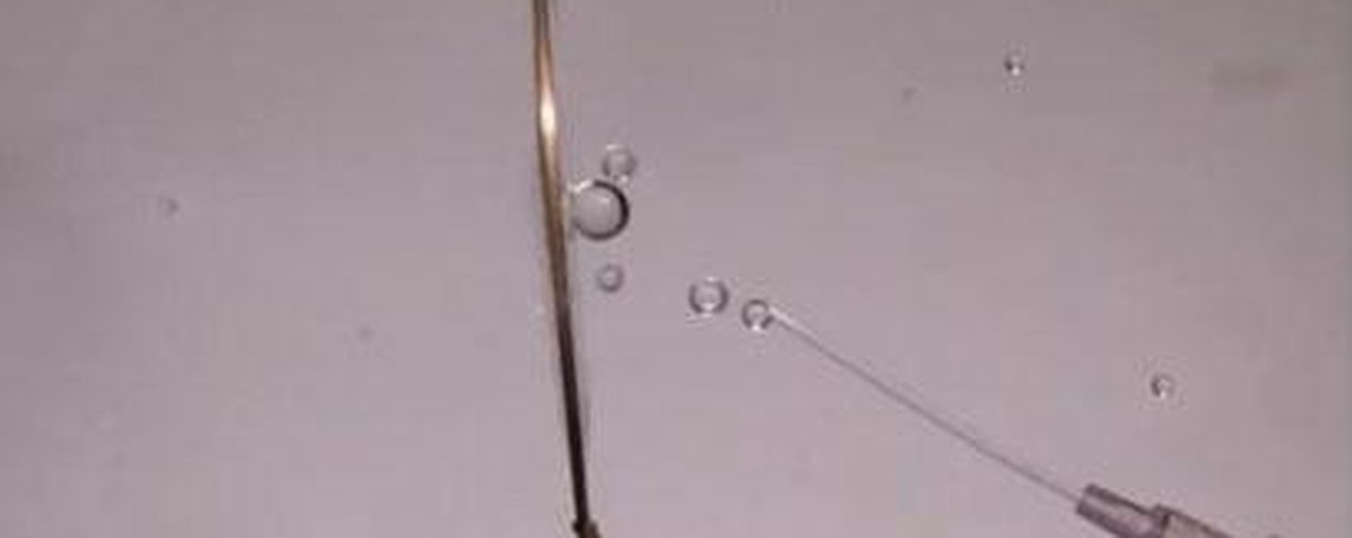 thumb-image-2024-02-29T13:56:50.544Z