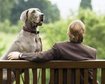 thumb-image-2024-02-29T13:56:50.837Z