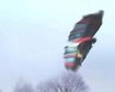 thumb-image-2024-02-29T13:56:51.625Z