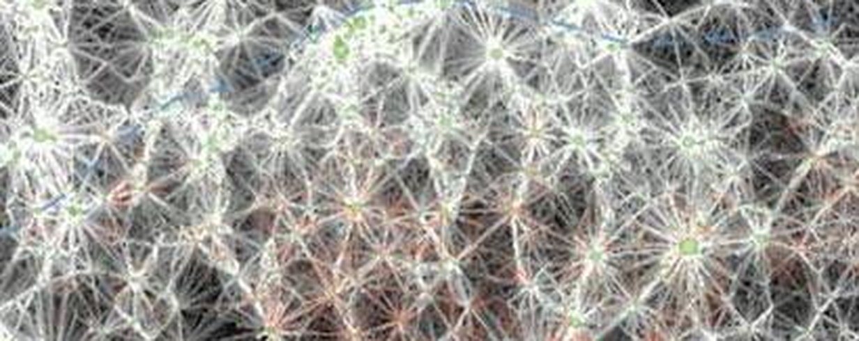 thumb-image-2024-02-29T13:56:51.792Z