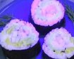 thumb-image-2024-02-29T13:56:51.873Z