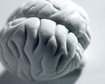 thumb-image-2024-02-29T13:56:52.354Z