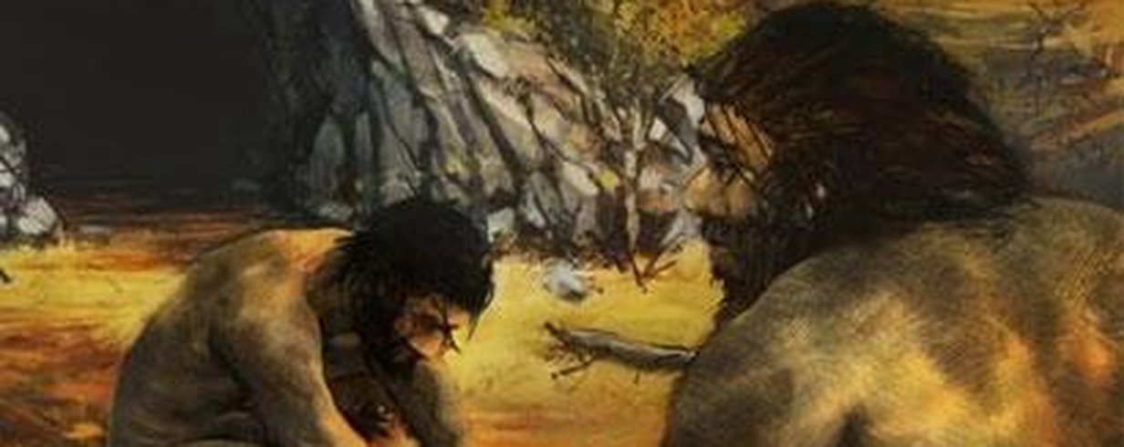 thumb-image-2024-02-29T13:56:52.603Z