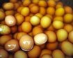 thumb-image-2024-02-29T13:56:52.700Z