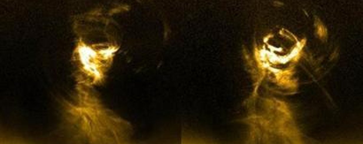 thumb-image-2024-02-29T13:56:52.136Z