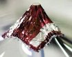 thumb-image-2024-02-29T13:56:53.196Z