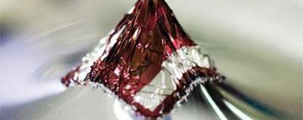 thumb-image-2024-02-29T13:56:53.196Z