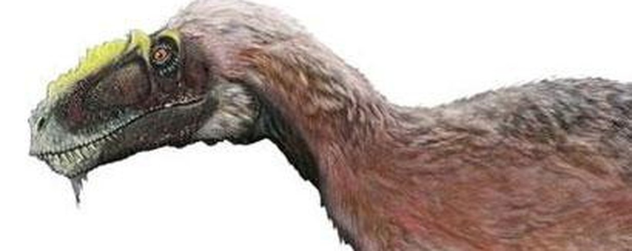 thumb-image-2024-02-29T13:56:53.354Z