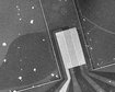 thumb-image-2024-02-29T13:56:53.589Z