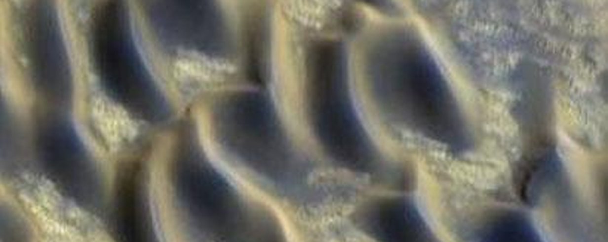 thumb-image-2024-02-29T13:56:54.295Z