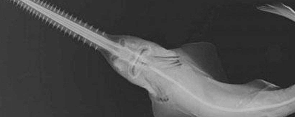 thumb-image-2024-02-29T13:56:54.437Z