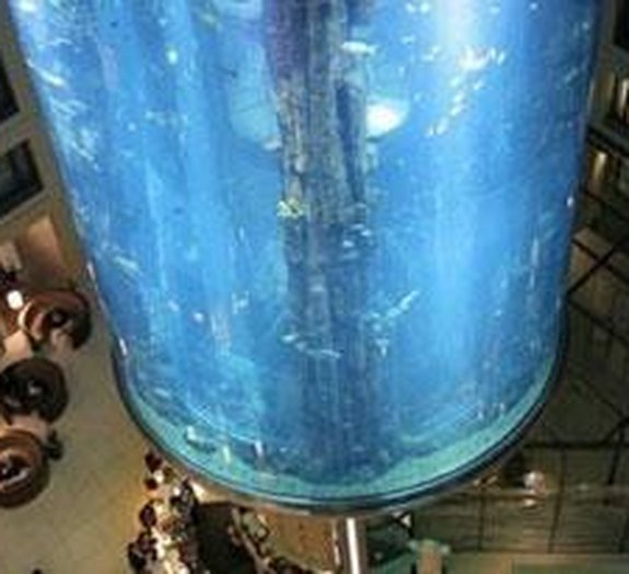 Hotel de Berlin tem aquário gigante com peixes tropicais no lobby