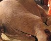 thumb-image-2024-02-29T13:56:55.646Z