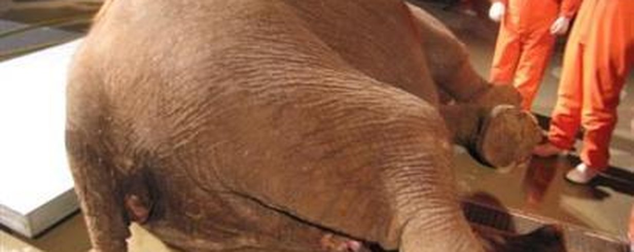thumb-image-2024-02-29T13:56:55.646Z