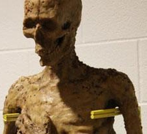 Artista cria múmia feita com lanches do McDonald´s