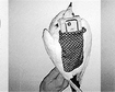 thumb-image-2024-02-29T13:56:57.775Z