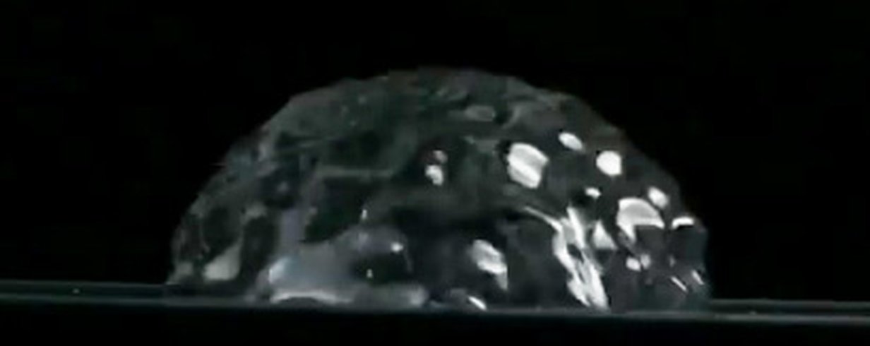 thumb-image-2024-02-29T13:56:56.557Z