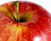 thumb-image-2024-02-29T13:56:57.641Z