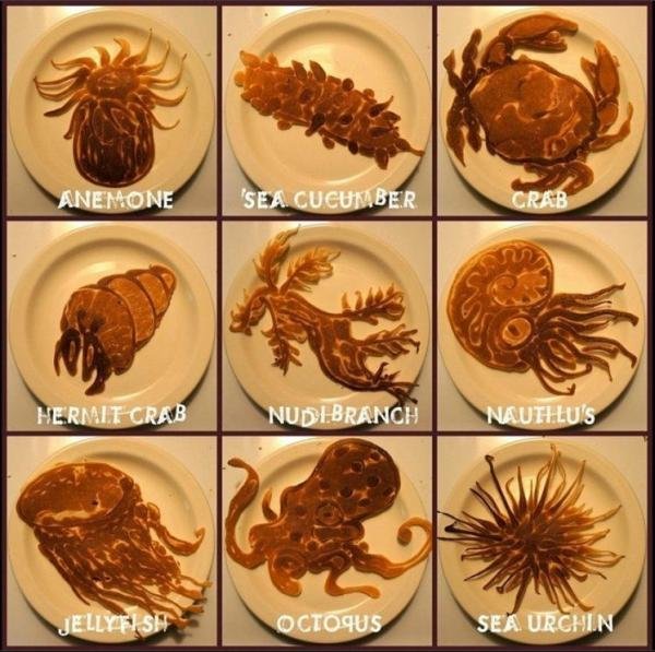 Criaturas marinhas