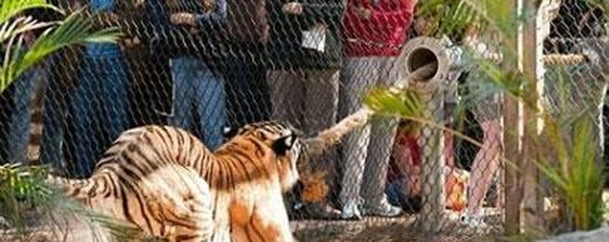 thumb-image-2024-02-29T13:57:00.925Z