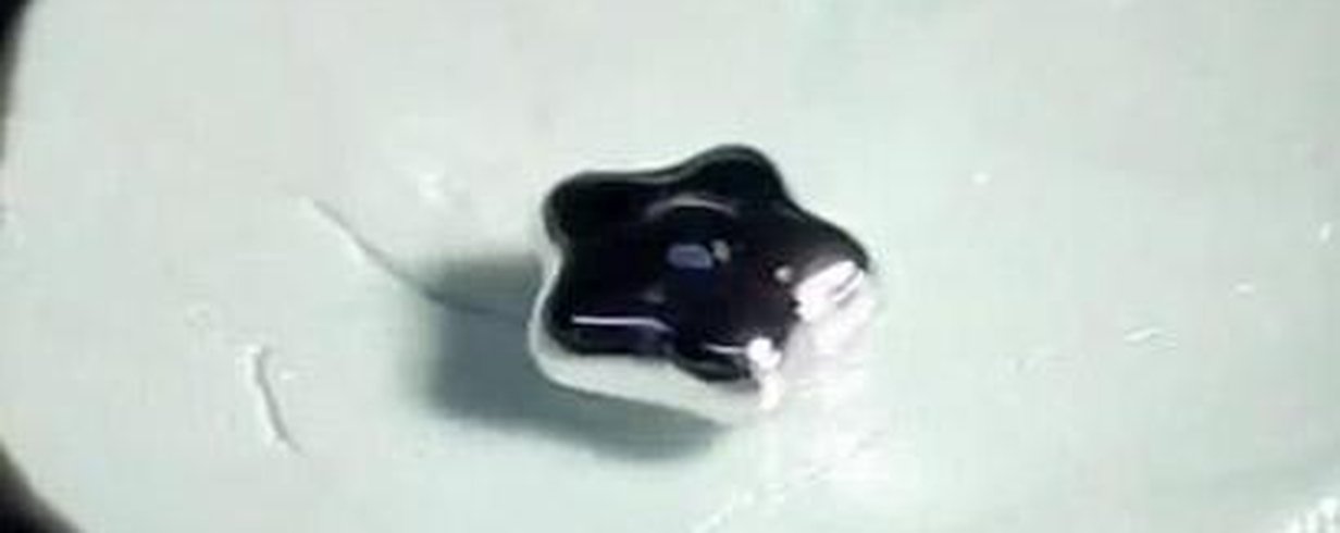 thumb-image-2024-02-29T13:57:01.052Z