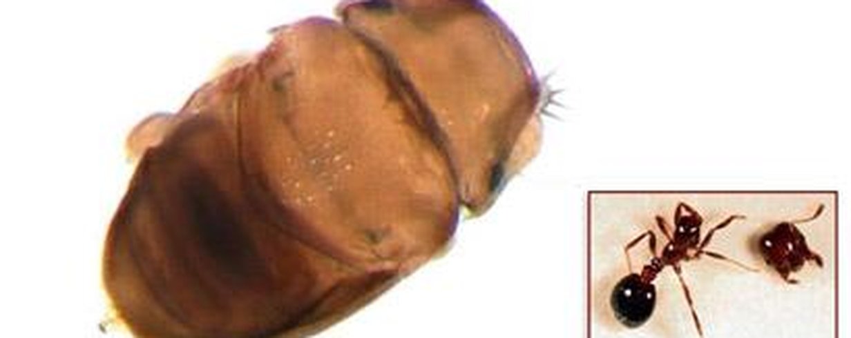 thumb-image-2024-02-29T13:57:01.082Z