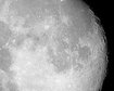 thumb-image-2024-02-29T13:57:02.363Z