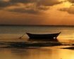 thumb-image-2024-02-29T13:57:02.616Z
