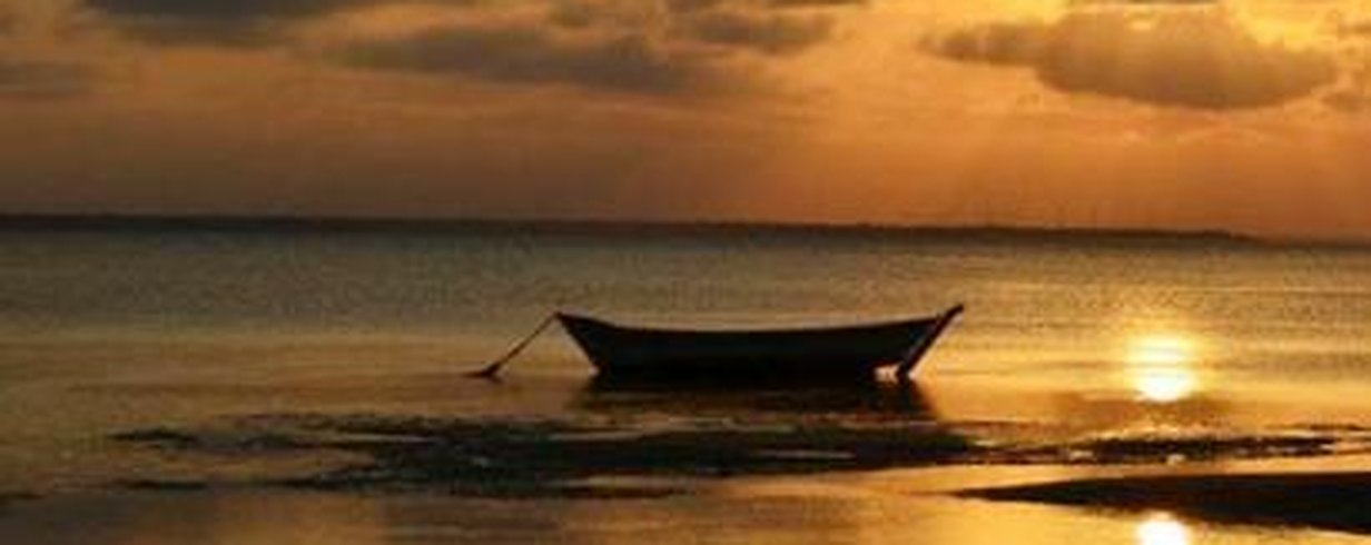 thumb-image-2024-02-29T13:57:02.616Z