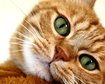 thumb-image-2024-02-29T13:57:44.460Z