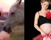 thumb-image-2024-02-29T13:57:44.530Z