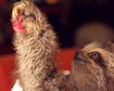 thumb-image-2024-02-29T13:57:45.243Z
